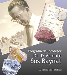 BiografÃ­a del profesor Dr. D. Vicente Sos Baynat.
